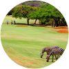 Image for Sigona Golf club course